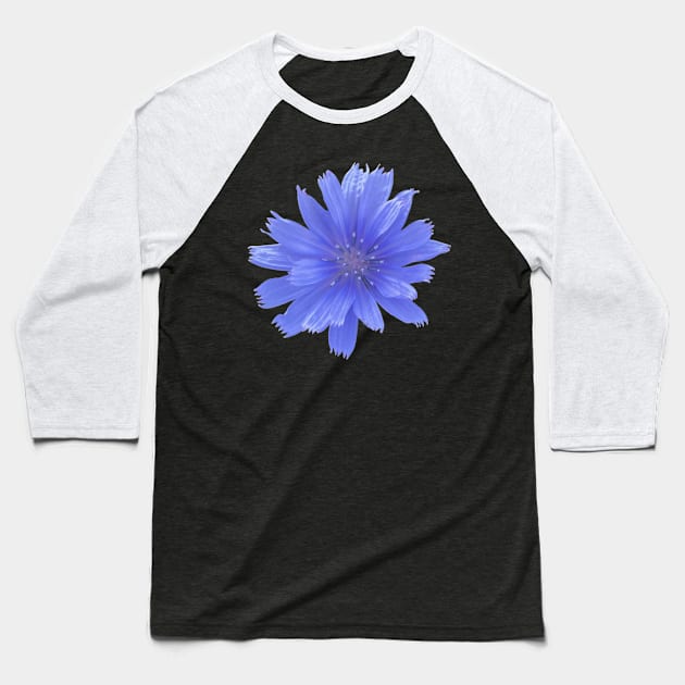 Blue Chicory Flower Baseball T-Shirt by Flowers on t-shirts